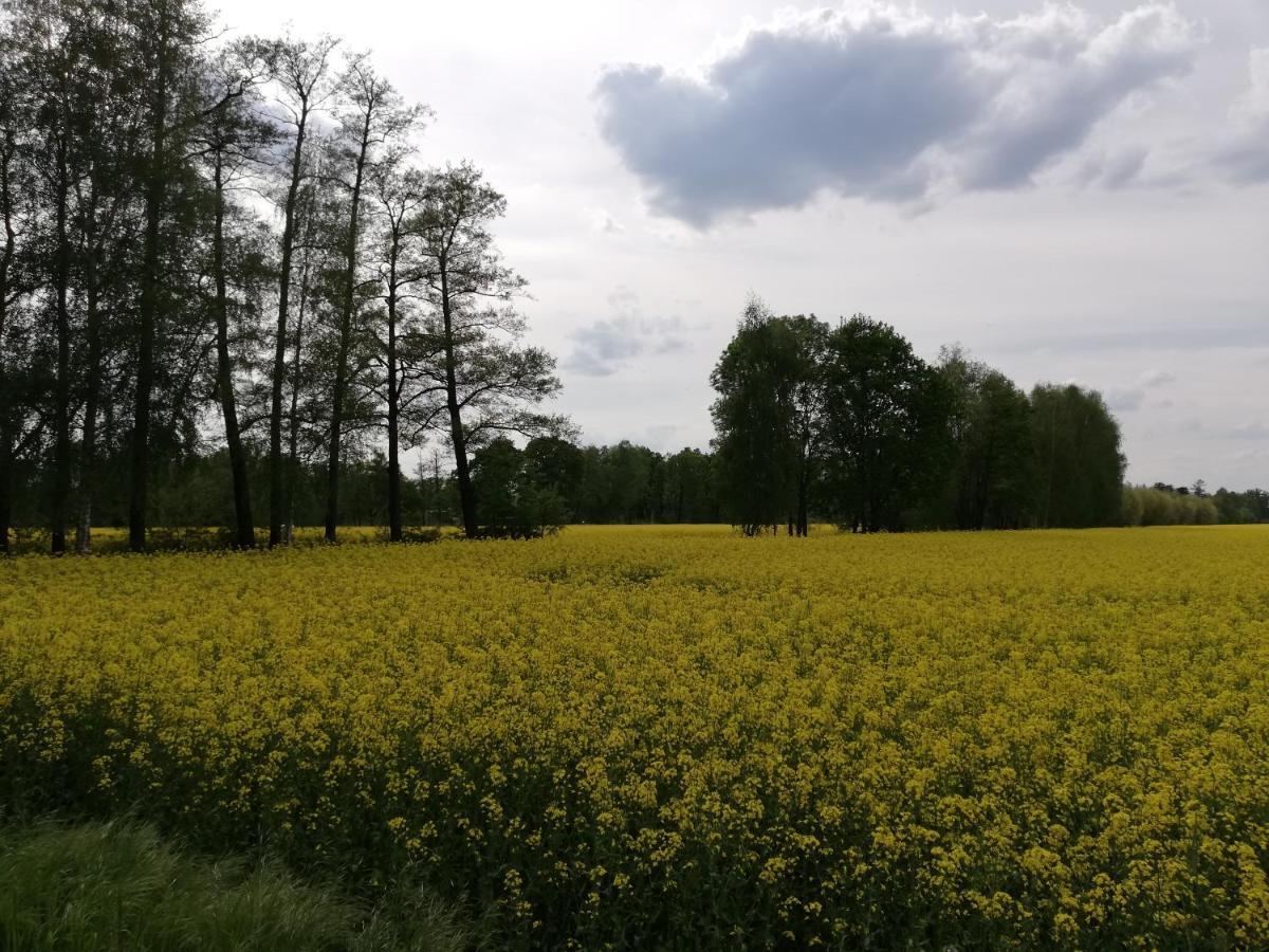 Am Waldrand Spreewald Hotel Burg  Luaran gambar