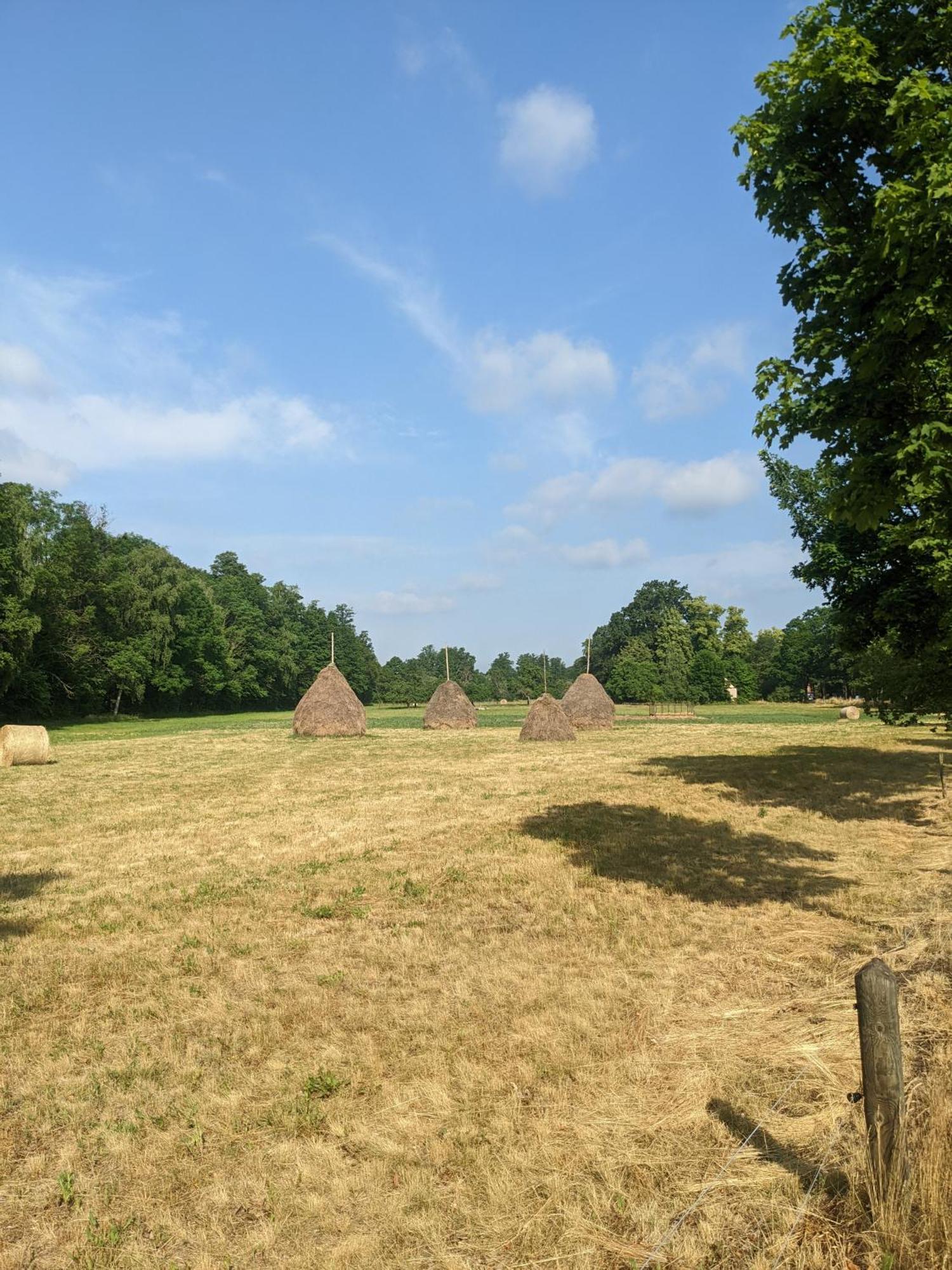 Am Waldrand Spreewald Hotel Burg  Luaran gambar